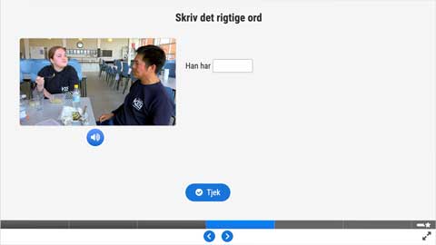 Screenshot af siden med opgave 2