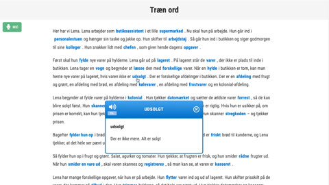Screenshot Butik Trin 2 Ord