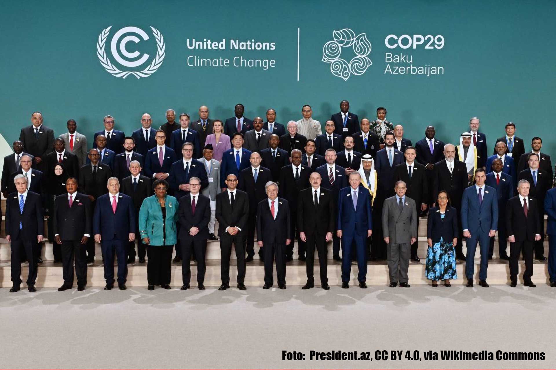 Read more about the article COP29