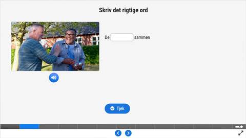 Screenshot af siden med opgave 2