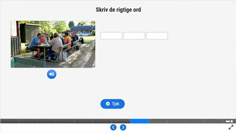 Screenshot af siden med opgave 3