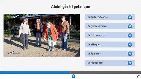 Screenshot af siden med udtale