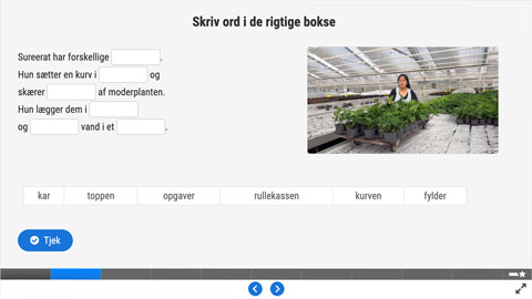 Screenshot Gartneri Trin 2 Opgave 3