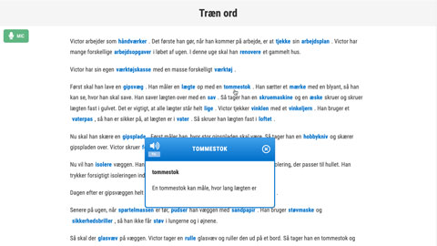 Screenshot Håndværker Trin 2 Ord