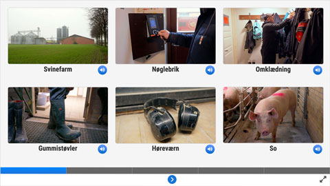 Screenshot af siden med ord